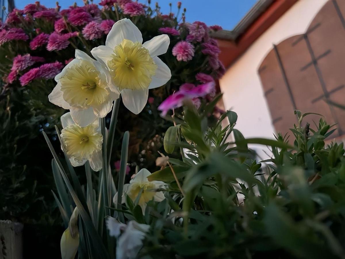 Casa Rural Vistablanca En Una Sola Planta Con Bonitas Vistas Y Piscina - Junto A La Capital Y La Alhambra Cenes De La Vega Buitenkant foto